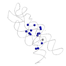 Image of CATH 3dig