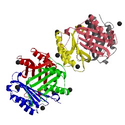 Image of CATH 3dji