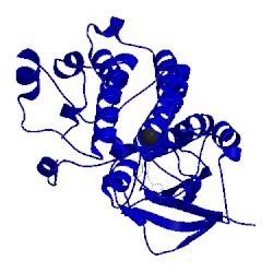 Image of CATH 3dkf