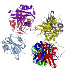Image of CATH 3dku