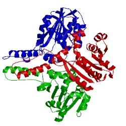 Image of CATH 3dli