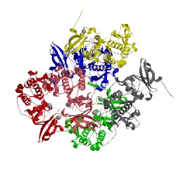 Image of CATH 3dls