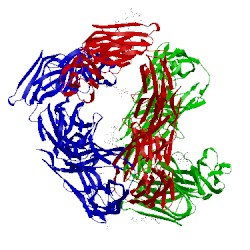 Image of CATH 3dmk