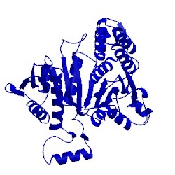 Image of CATH 3dms