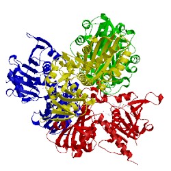 Image of CATH 3dmt