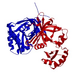 Image of CATH 3dnh