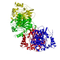 Image of CATH 3dnm