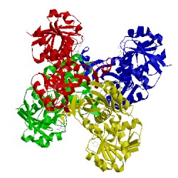 Image of CATH 3doc