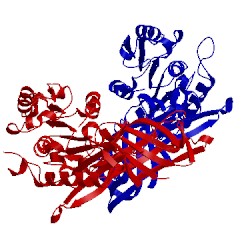 Image of CATH 3doh