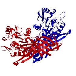 Image of CATH 3doi