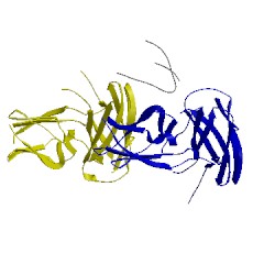 Image of CATH 3dos
