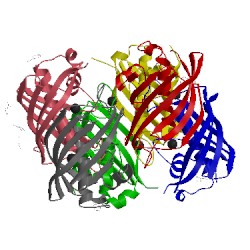 Image of CATH 3dp0