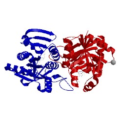Image of CATH 3dp9