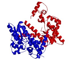 Image of CATH 3dpi