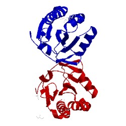 Image of CATH 3drn