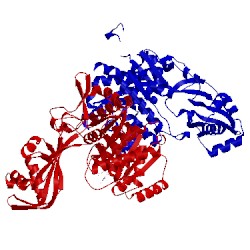 Image of CATH 3drw