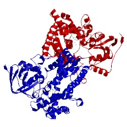 Image of CATH 3dsk