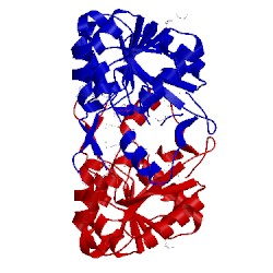 Image of CATH 3dtt
