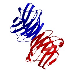 Image of CATH 3dui