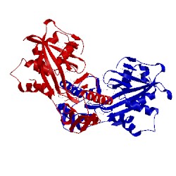 Image of CATH 3dup