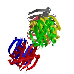 Image of CATH 3dvt