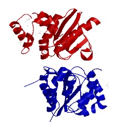 Image of CATH 3dvx