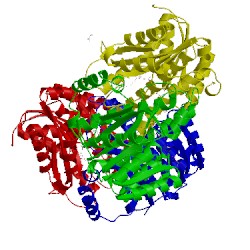 Image of CATH 3dwf