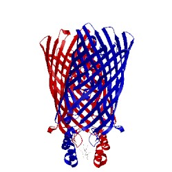 Image of CATH 3dwn