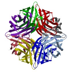 Image of CATH 3dwt