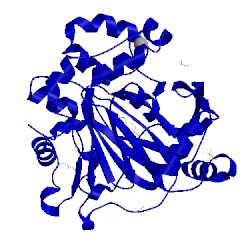 Image of CATH 3dxt