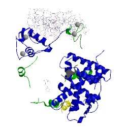 Image of CATH 3e00