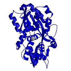 Image of CATH 3e13