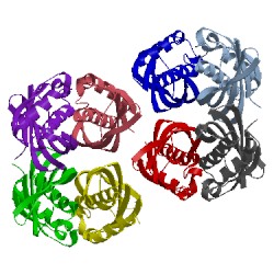 Image of CATH 3e1e