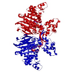 Image of CATH 3e2d