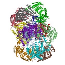 Image of CATH 3e2p