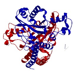 Image of CATH 3e43