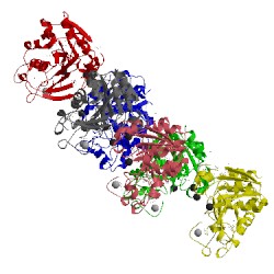 Image of CATH 3e4d