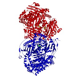 Image of CATH 3e4z