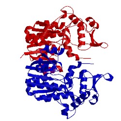 Image of CATH 3e5m
