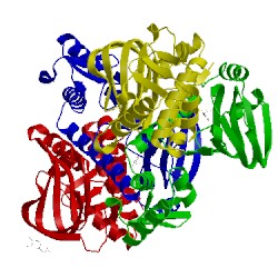 Image of CATH 3e5x