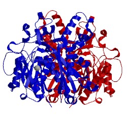 Image of CATH 3e60