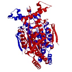 Image of CATH 3e67