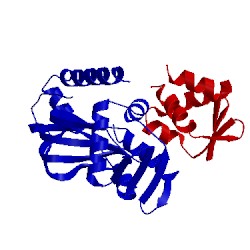 Image of CATH 3e6d