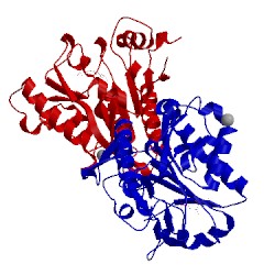 Image of CATH 3e7f