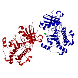 Image of CATH 3e8d