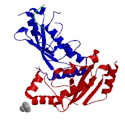 Image of CATH 3e95