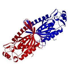 Image of CATH 3e9e