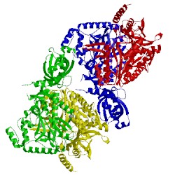 Image of CATH 3e9h