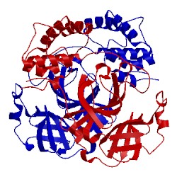 Image of CATH 3eaj