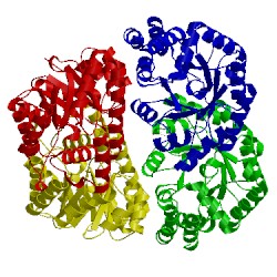 Image of CATH 3eb2
